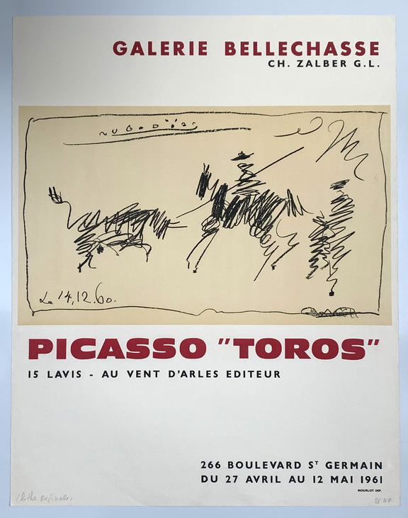 Picasso „Stiere“ 15 Tuschzeichnungen CZW dtv 47