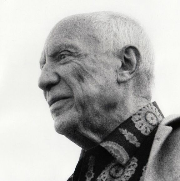 Picasso Portrait - Hubertus  Hierl